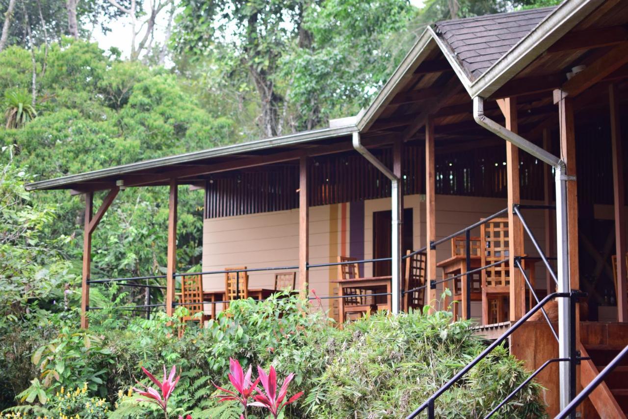Alojamento de Turismo Selvagem Hamadryade