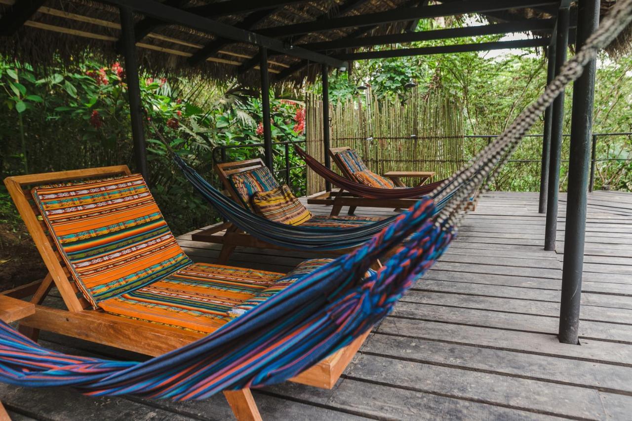 Alojamento de Turismo Selvagem Hamadryade Puerto Misahuallí