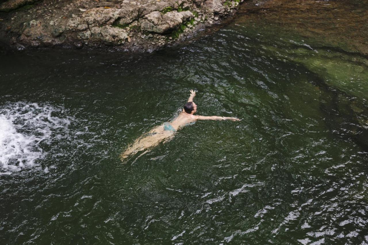 Alojamento de Turismo Selvagem Hamadryade *