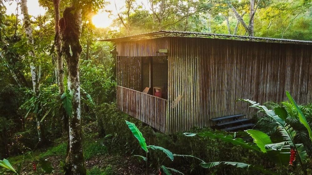 Hamadryade Alojamento de Turismo Selvagem Puerto Misahuallí