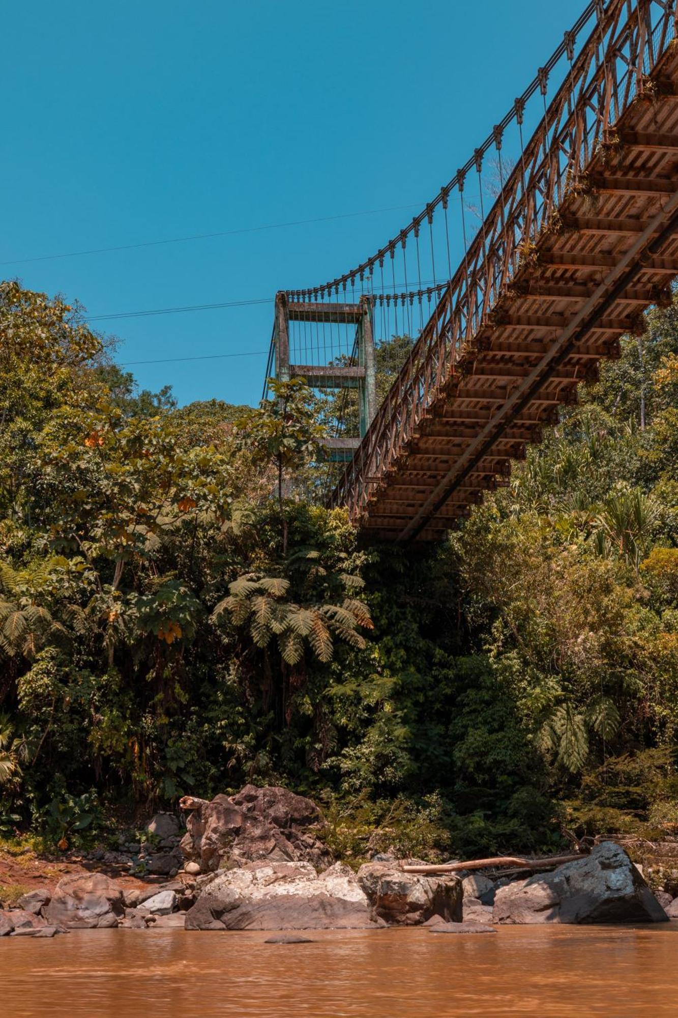 Alojamento de Turismo Selvagem Hamadryade *